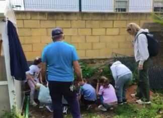 El CEIP San Mateo premiado por su compromiso con el Medio Ambiente