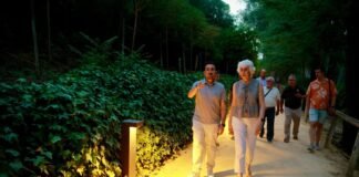 Así es la nueva iluminación del camino principal del Parque Oromana