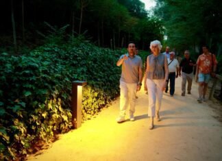Así es la nueva iluminación del camino principal del Parque Oromana
