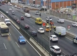 Un motorista herido en un accidente en la A-92 en Alcalá