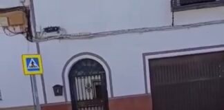 Otra tubería rota deja sin suministro a los vecinos de Pedro Vallina