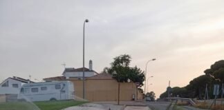 Destrozan árboles recién plantados frente al Mercadona en Campoalegre