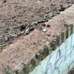 La calle Salesiano Eduardo Benot convertida en un ‘cagadero de perros’