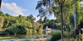 El calor tocará techo este jueves en Alcalá con 42 grados