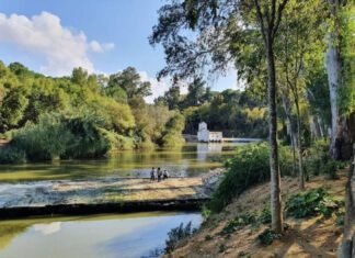 El calor tocará techo este jueves en Alcalá con 42 grados