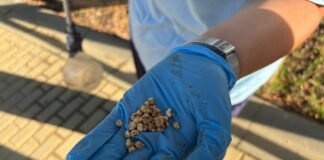 Refuerzo para la prevención del virus del Nilo en feria