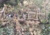 Vox denuncia la ocupación ilegal de una cueva en la ribera del Guadaíra
