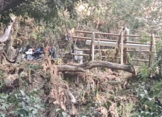 Vox denuncia la ocupación ilegal de una cueva en la ribera del Guadaíra