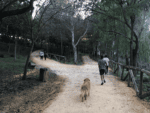 Denuncian el aumento de perros sin correa en Oromana y piden más vigilancia Denuncian el aumento de perros sin correa en Oromana y piden más vigilancia