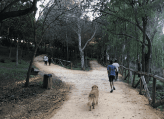 Denuncian el aumento de perros sin correa en Oromana y piden más vigilancia