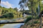 La ola de calor tiene los dias contados, llegan temperaturas más suaves