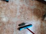 Los vecinos de San Agustín alertan de una plaga de ratas y cucarachas que invade calles y casas Los vecinos de San Agustín alertan de una plaga de ratas y cucarachas que invade calles y casas