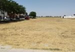 Refuerzo del plan de desbroce de solares para prevenir incendios en Alcala Refuerzo del plan de desbroce de solares para prevenir incendios en Alcala