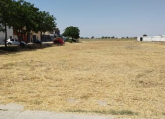 Refuerzo del plan de desbroce de solares para prevenir incendios en Alcala