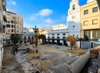 VOX Alcalá muestra su preocupación por el estado de los naranjos de la Plaza del Cabildo