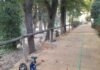 Repuestos los elementos dañados por actos vandálicos en Oromana