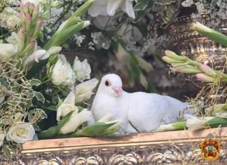 La Virgen del Águila ya no podrá procesionar con palomas vivas