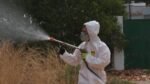 Alcala sigue en alerta roja por virus del Nilo y refuerza la prevención Alcala sigue en alerta roja por virus del Nilo y refuerza la prevención
