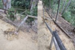 Vallas arrancadas y árboles destrozados por el vandalismo en el Parque Oromana Vallas arrancadas y árboles destrozados por el vandalismo en el Parque Oromana
