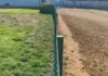 Campaña de recogida de firmas por el parque canino del Campo de las Beatas