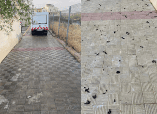 Barrer, baldear y volver a empezar: el coste del incivismo en Alcalá