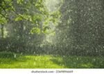 AEMET eleva al 60% la probabilidad de lluvia en Alcalá de Guadaíra este lunes AEMET eleva al 60% la probabilidad de lluvia en Alcalá de Guadaíra este lunes