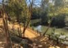 Semana de calor intenso en Alcalá con máximas de 43 grados