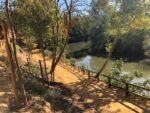 Semana de calor intenso en Alcalá con máximas de 43 grados Semana de calor intenso en Alcalá con máximas de 43 grados