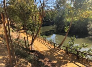 Semana de calor intenso en Alcalá con máximas de 43 grados