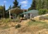 El Ayuntamiento impulsa un aula abierta y un bosque comestible en el IES Tierno Galván