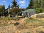 El Ayuntamiento impulsa un aula abierta y un bosque comestible en el IES Tierno Galván El Ayuntamiento impulsa un aula abierta y un bosque comestible en el IES Tierno Galván