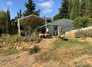 El Ayuntamiento impulsa un aula abierta y un bosque comestible en el IES Tierno Galván