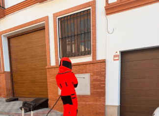 Alcalá actúa contra el avispón oriental ante la falta de protocolo de la Junta