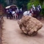 La Hermandad de San Mateo no puede mirar hacia otro lado tras lo ocurrido en la Retama La Hermandad de San Mateo no puede mirar hacia otro lado tras lo ocurrido en la Retama