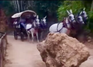 La Hermandad de San Mateo no puede mirar hacia otro lado tras lo ocurrido en la Retama