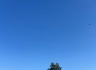 Adelante Andalucía pide que se adapten los espacios públicos de Alcalá ante el calor extremo