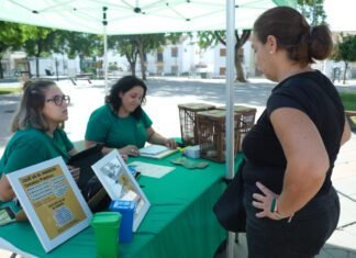 El contenedor marrón comienza a funcionar este jueves en Alcalá