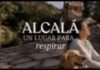 Alcalá, un lugar para respirar