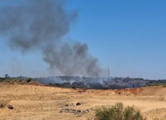 Un grave incendio afecta a la Dehesa un paraje natural único de Alcalá