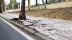 El PP denuncia el abandono de la Avenida de San Francisco El PP denuncia el abandono de la Avenida de San Francisco